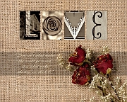 Wall_Art_Alphabet_Photography_Art_ 2226